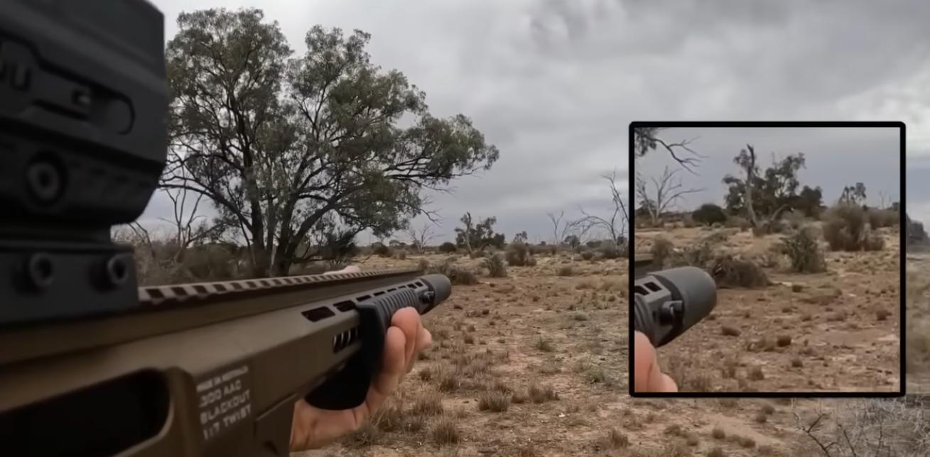 The craft of a sniper taking out ferals